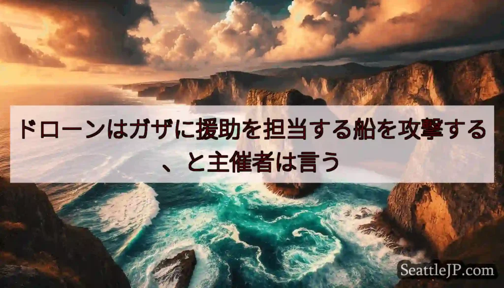 ドローンはガザに援助を担当する船を攻撃する、と主催者は言う