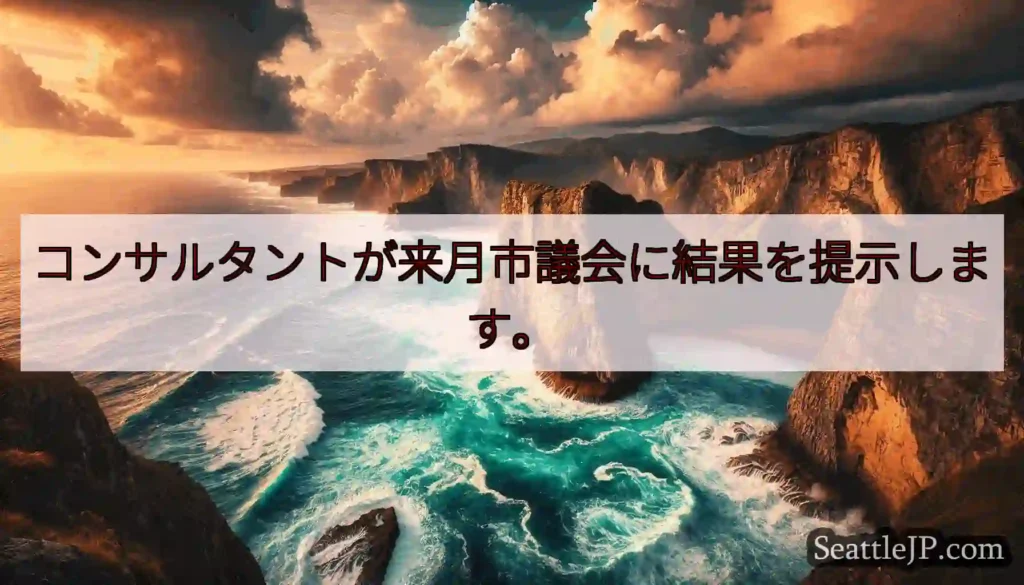 コンサルタントが来月市議会に結果を提示します。