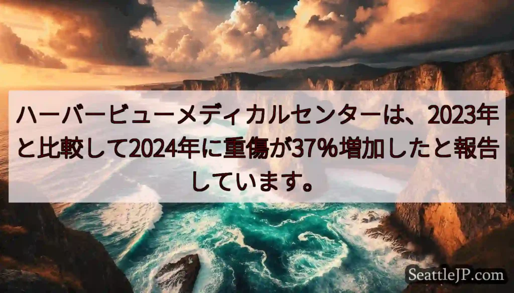 ハーバービューメディカルセンターは、2023年と比較して2024年に重傷が37％増加したと報告してい