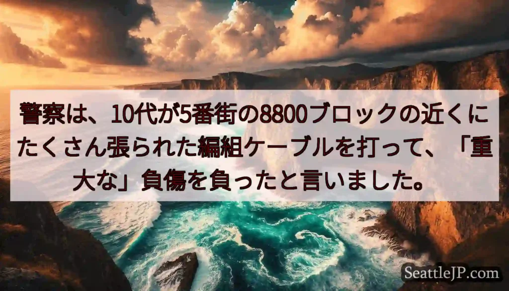 警察は、10代が5番街の8800ブロックの近くにたくさん張られた編組ケーブルを打って、「重大な」負傷