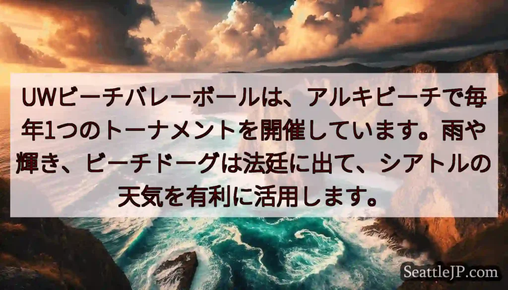 UWビーチバレーボールは、アルキビーチで毎年1つのトーナメントを開催しています。雨や輝き、ビーチドー
