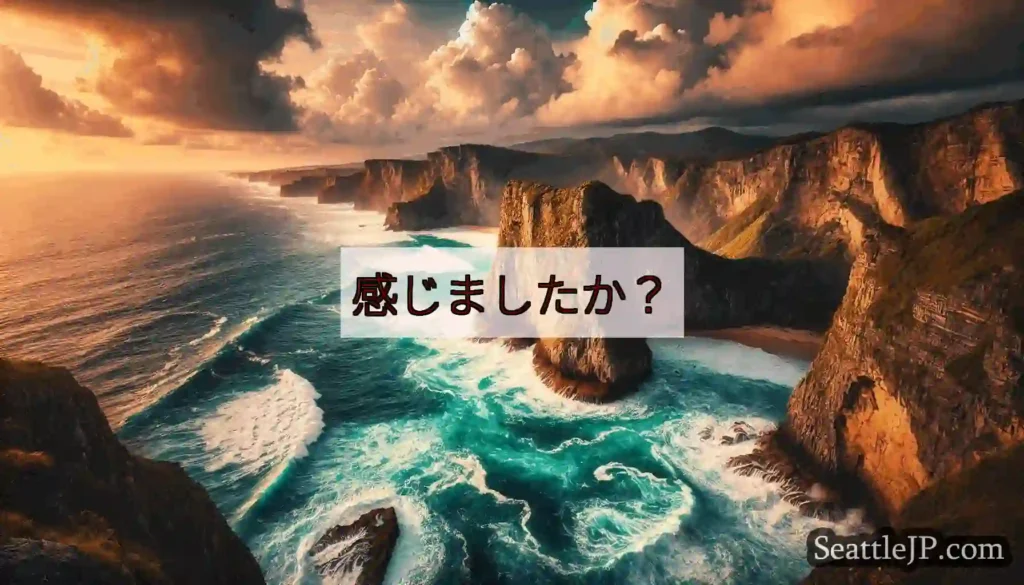 感じましたか？