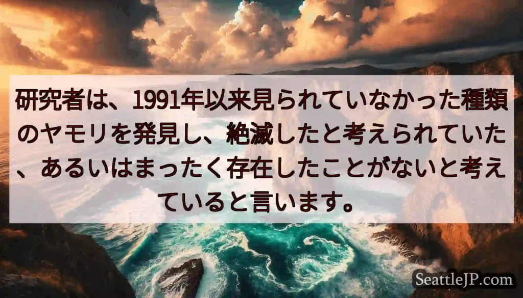 研究者は、1991年以来見られていなかった種類のヤモリを発見し、絶滅したと考えられていた、あるいはま