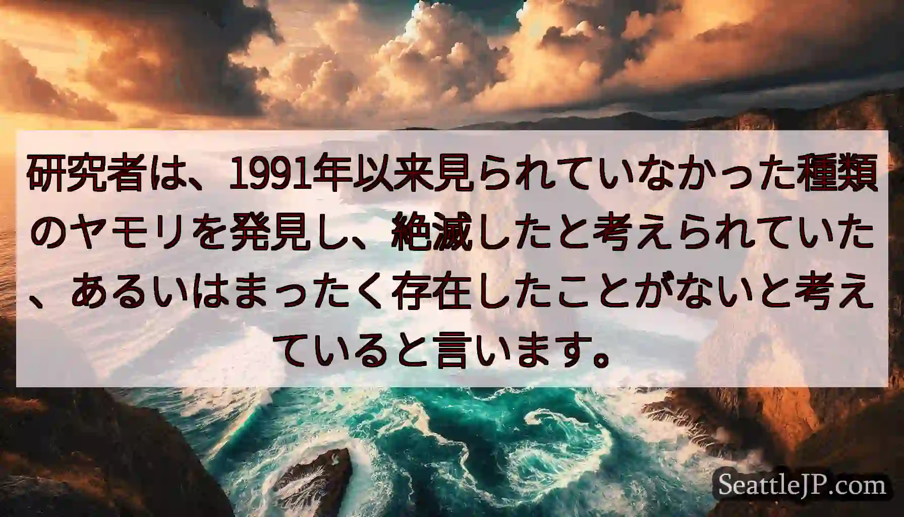 研究者は、1991年以来見られていなかった種類のヤモリを発見し、絶滅したと考えられていた、あるいはま