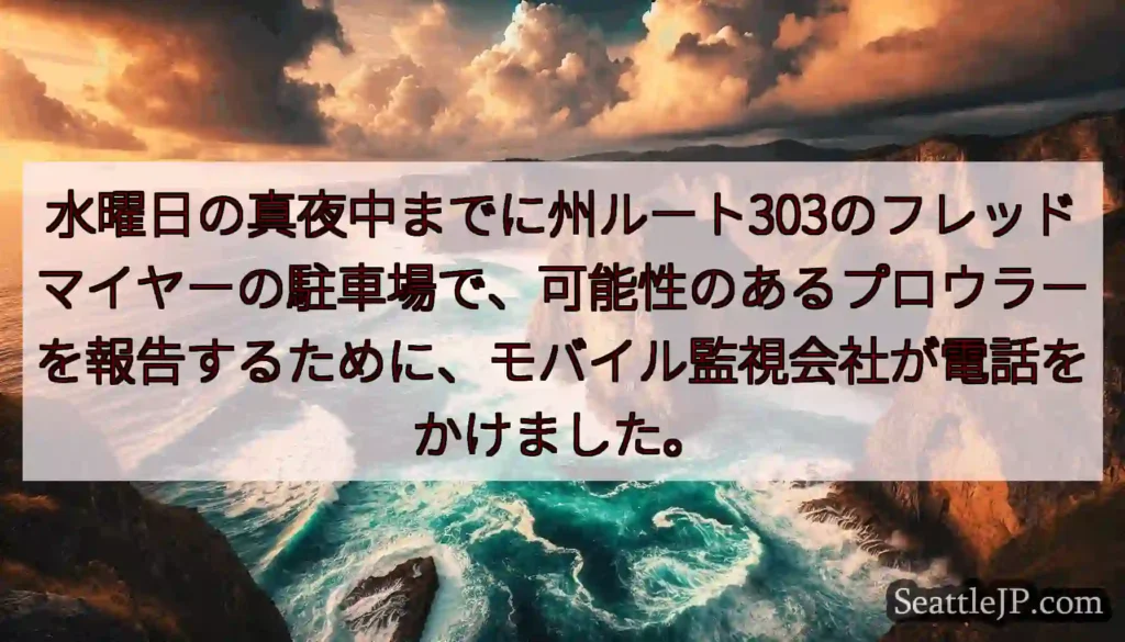 水曜日の真夜中までに州ルート303のフレッドマイヤーの駐車場で、可能性のあるプロウラーを報告するため