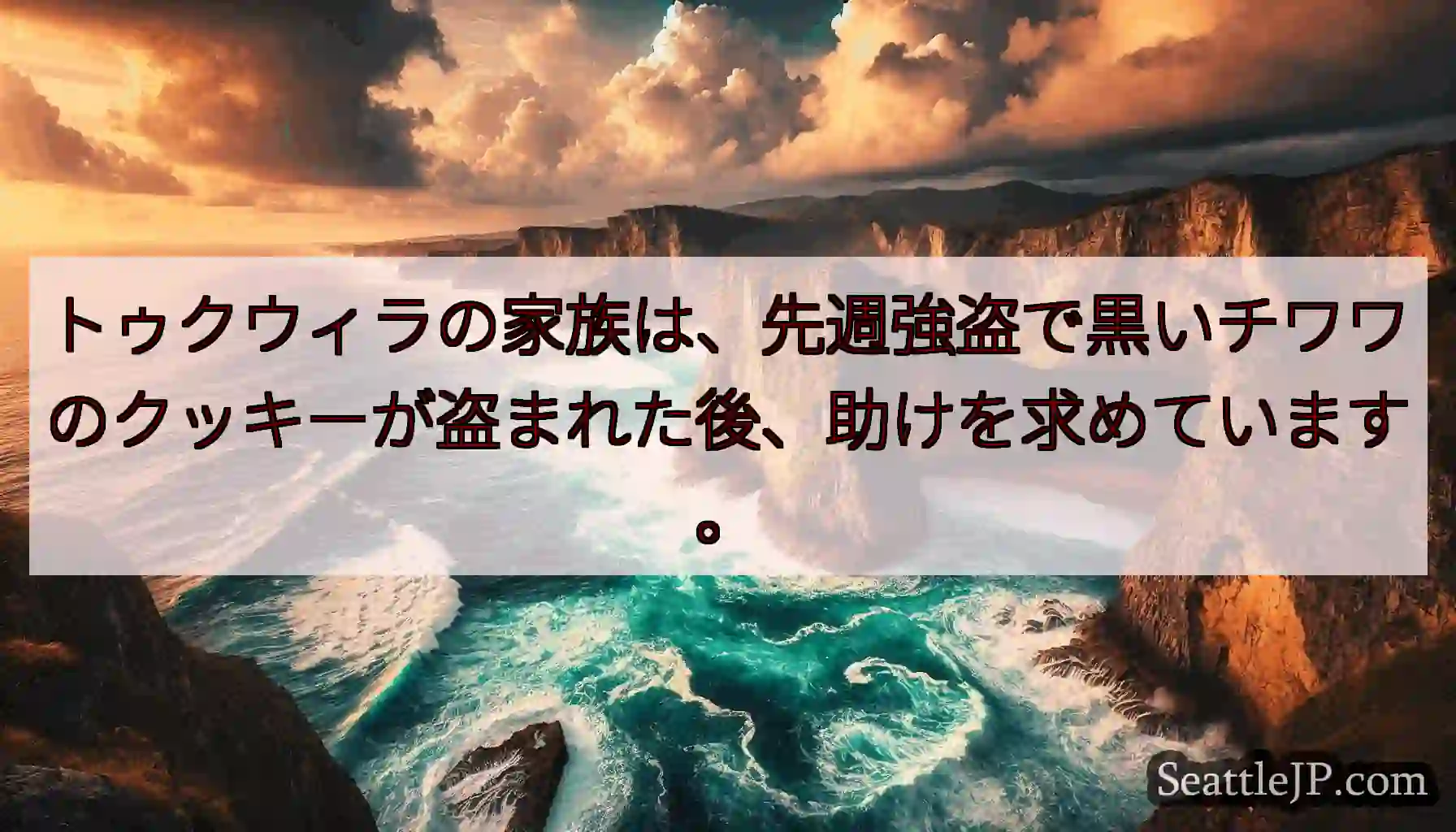 トゥクウィラの家族は、先週強盗で黒いチワワのクッキーが盗まれた後、助けを求めています。
