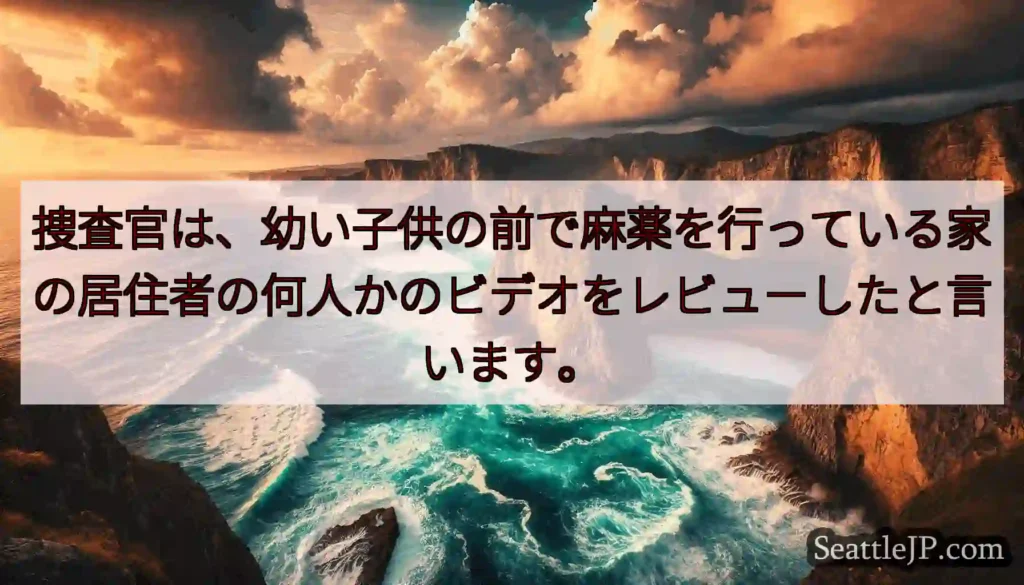 捜査官は、幼い子供の前で麻薬を行っている家の居住者の何人かのビデオをレビューしたと言います。