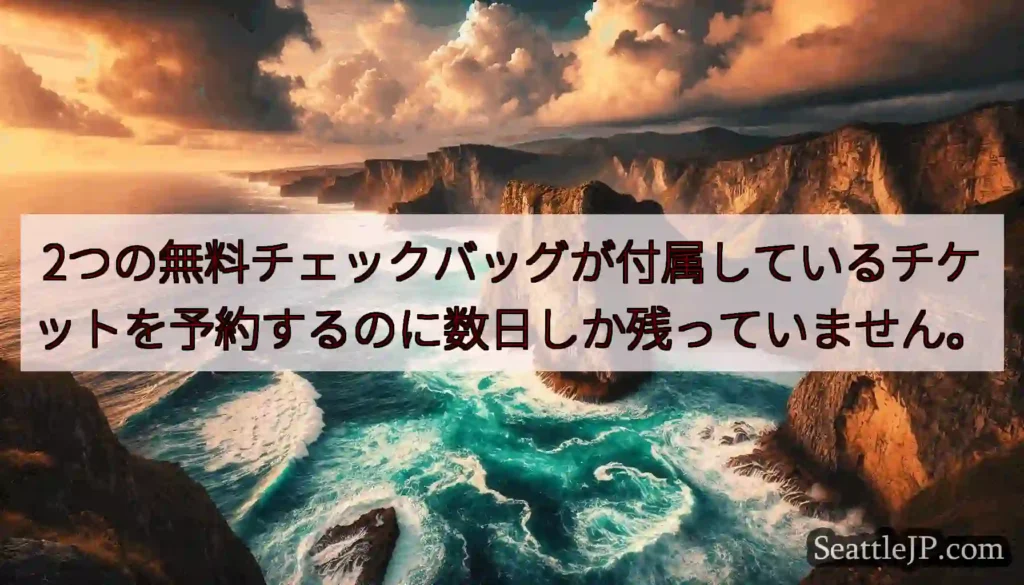 2つの無料チェックバッグが付属しているチケットを予約するのに数日しか残っていません。
