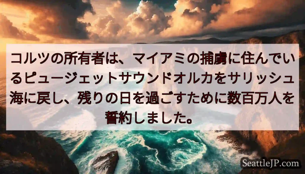 コルツの所有者は、マイアミの捕虜に住んでいるピュージェットサウンドオルカをサリッシュ海に戻し、残りの