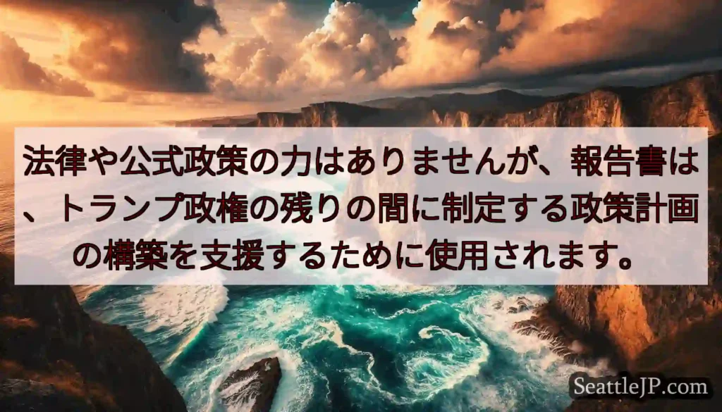 法律や公式政策の力はありませんが、報告書は、トランプ政権の残りの間に制定する政策計画の構築を支援する