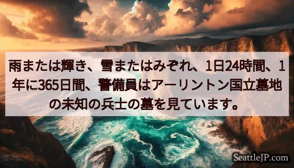 雨または輝き、雪またはみぞれ、1日24時間、1年に365日間、警備員はアーリントン国立墓地の未知の兵