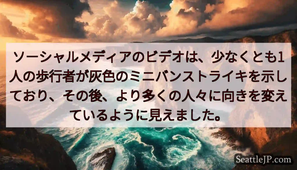 ソーシャルメディアのビデオは、少なくとも1人の歩行者が灰色のミニバンストライキを示しており、その後、