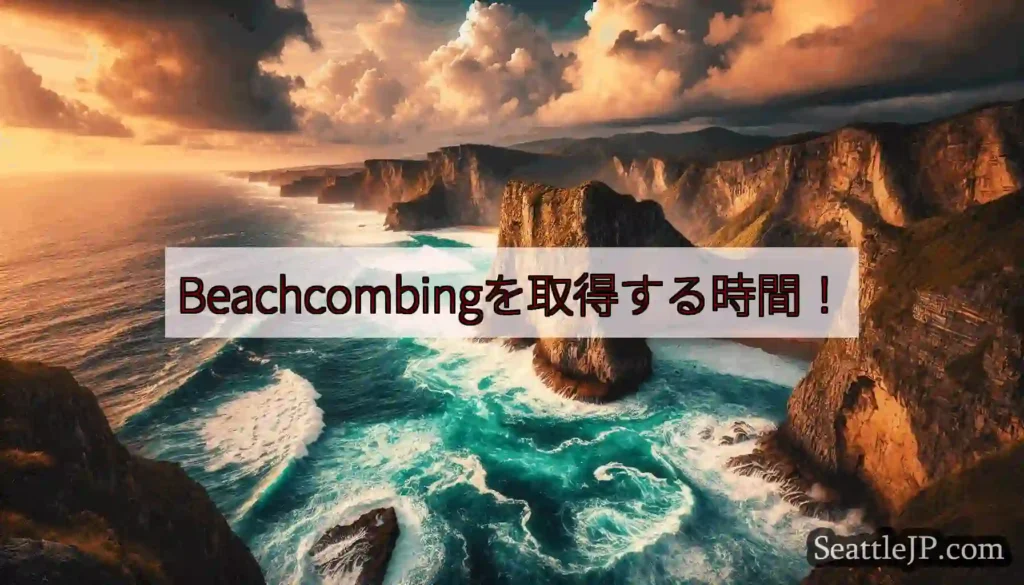 Beachcombingを取得する時間！