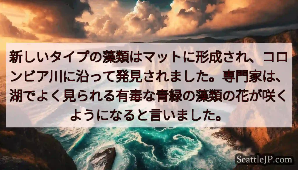 新しいタイプの藻類はマットに形成され、コロンビア川に沿って発見されました。専門家は、湖でよく見られる