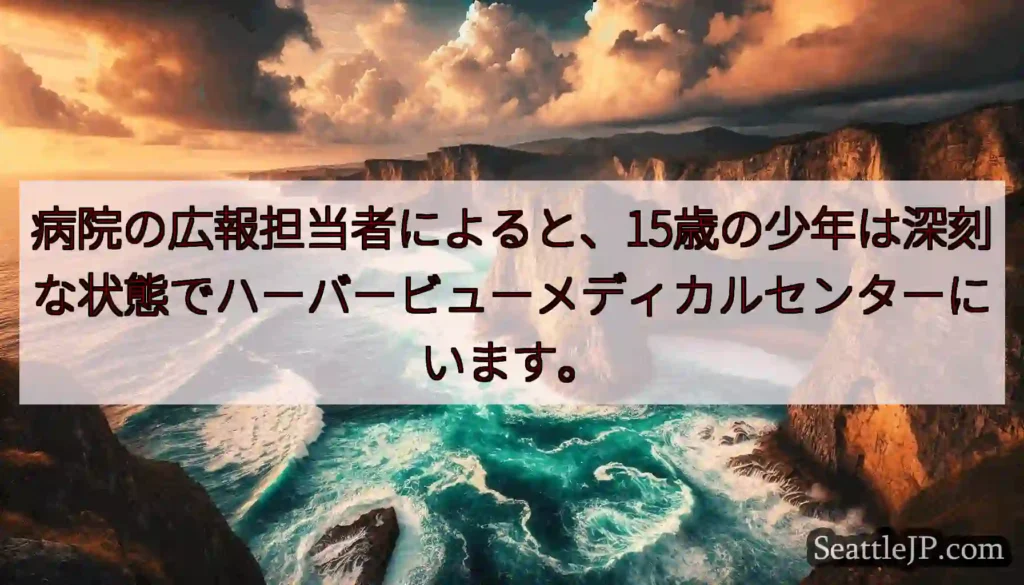 病院の広報担当者によると、15歳の少年は深刻な状態でハーバービューメディカルセンターにいます。