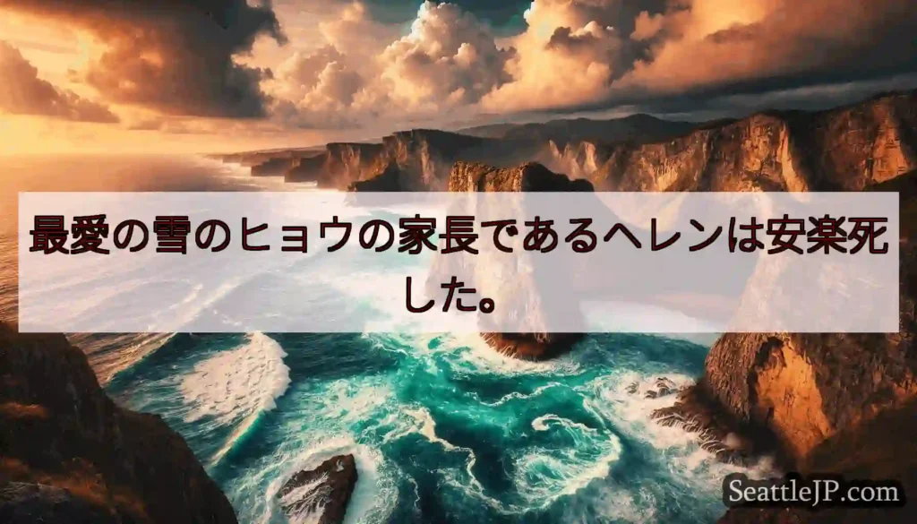 最愛の雪のヒョウの家長であるヘレンは安楽死した。