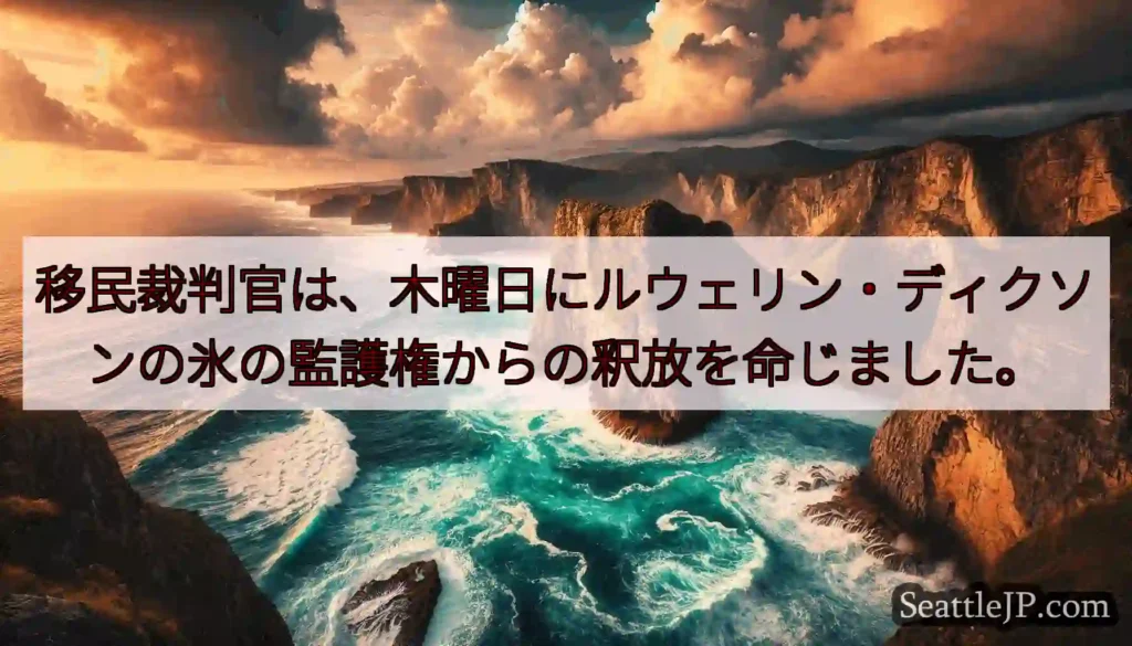 移民裁判官は、木曜日にルウェリン・ディクソンの氷の監護権からの釈放を命じました。