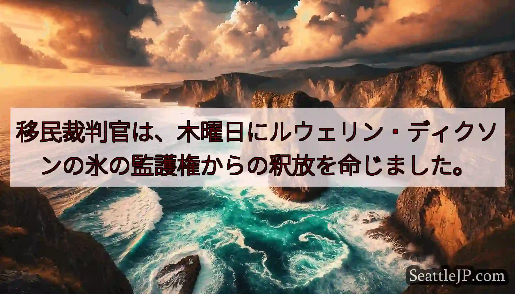 移民裁判官は、木曜日にルウェリン・ディクソンの氷の監護権からの釈放を命じました。