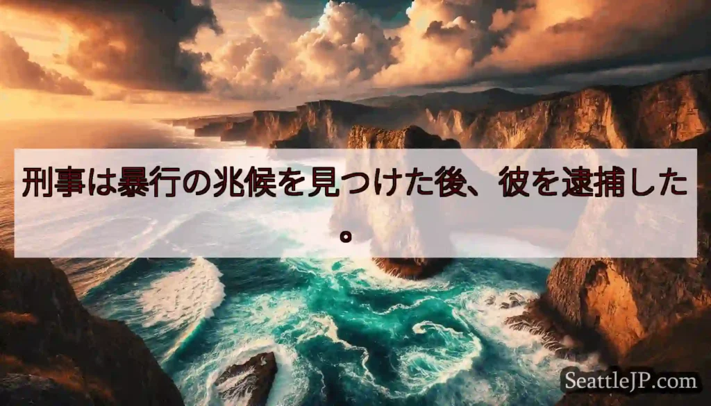 刑事は暴行の兆候を見つけた後、彼を逮捕した。