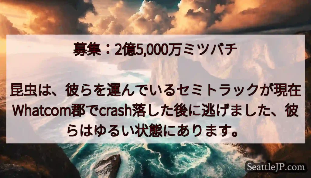 募集：2億5,000万ミツバチ