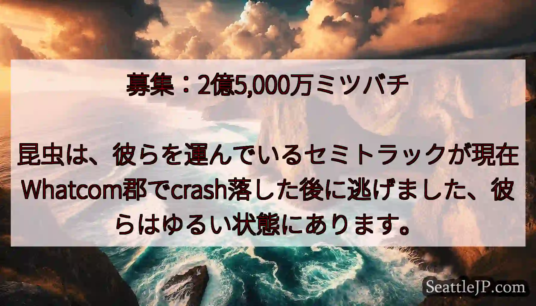 募集：2億5,000万ミツバチ