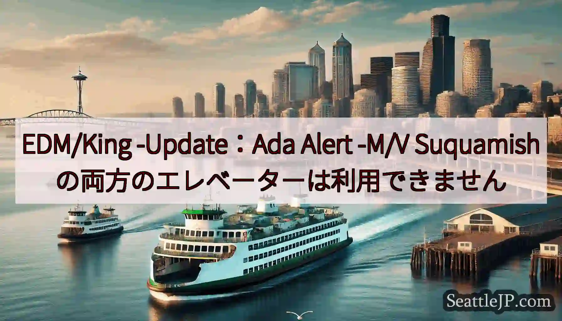 EDM/King -Update：Ada Alert -M/V