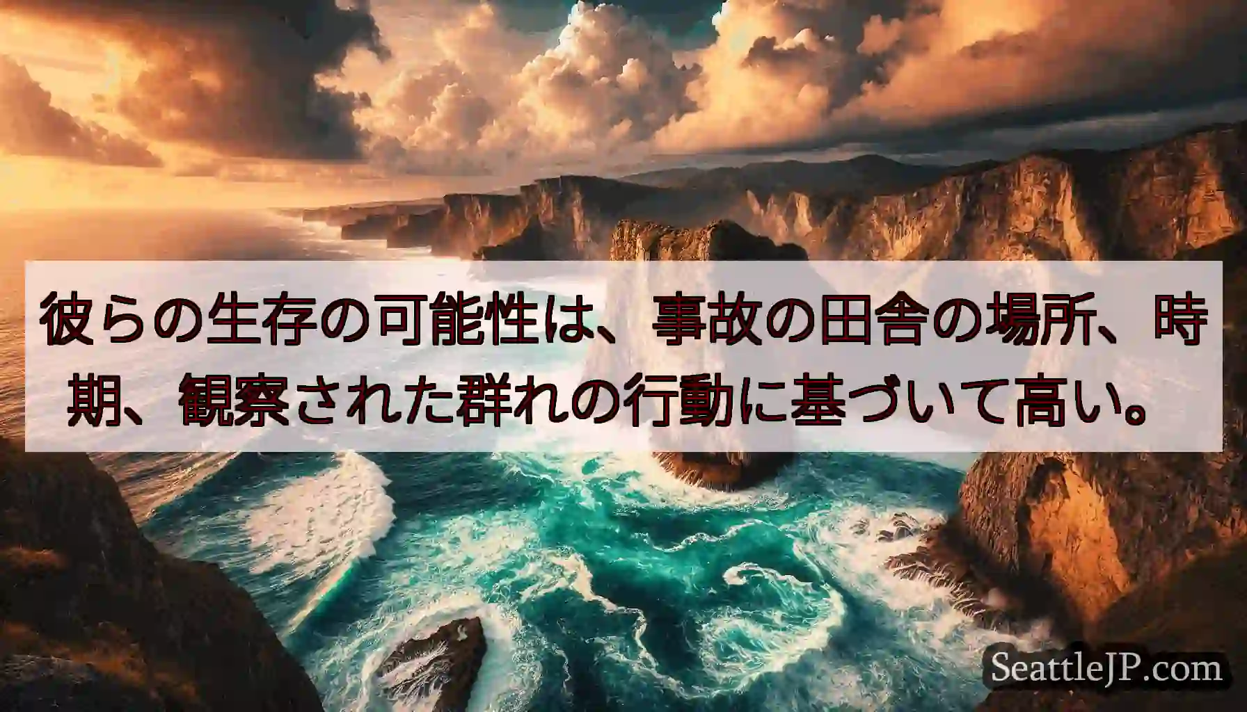 彼らの生存の可能性は、事故の田舎の場所、時期、観察された群れの行動に基づいて高い。
