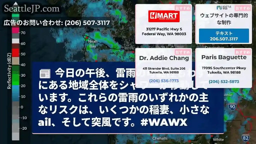 今日の午後、雷雨の可能性もわずかにある地域全体をシャワーが移動しています。これらの雷雨のいずれかの主