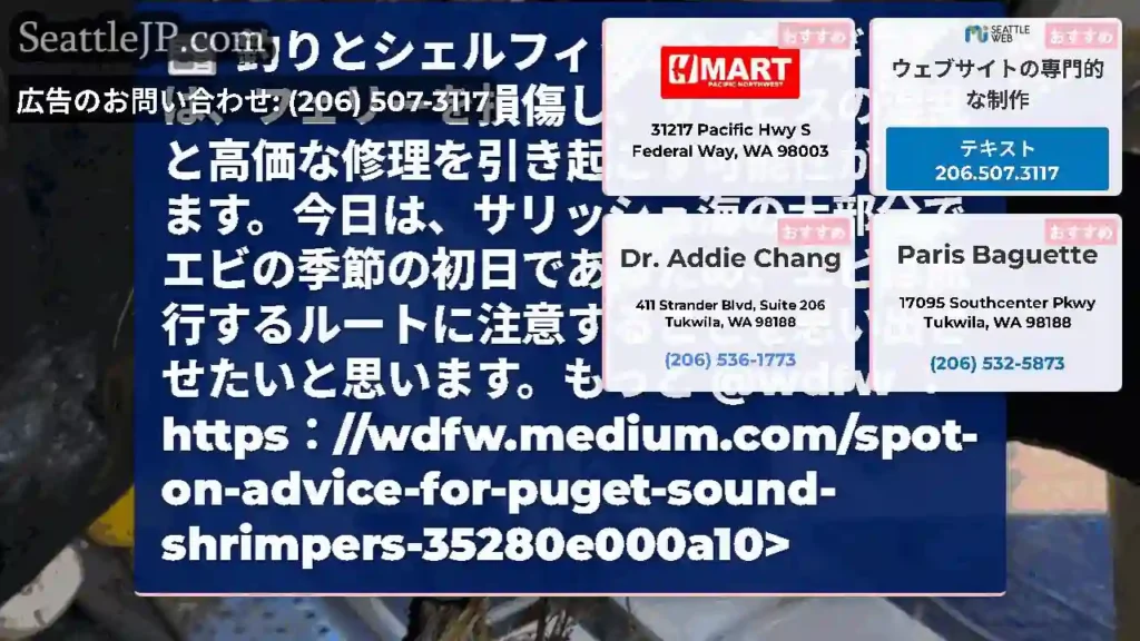 釣りとシェルフィッシングのギアは、フェリーを損傷し、サービスの混乱と高価な修理を引き起こす可能性があ