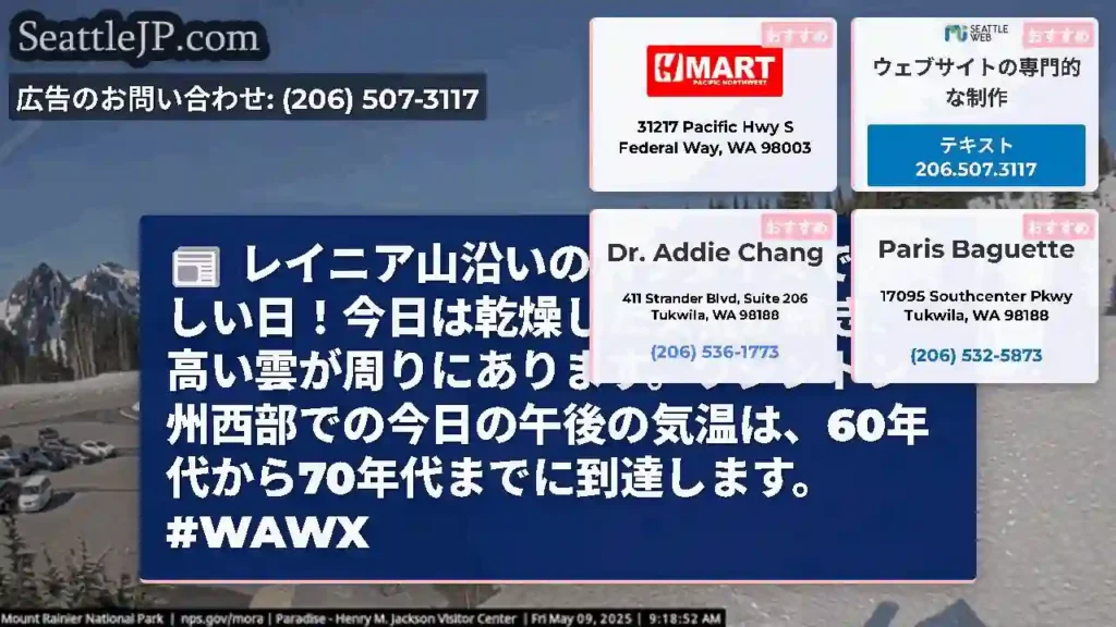レイニア山沿いのパラダイスでの美しい日！今日は乾燥した天気が続き、高い雲が周りにあります。ワシントン