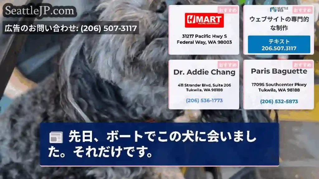 先日、ボートでこの犬に会いました。それだけです。