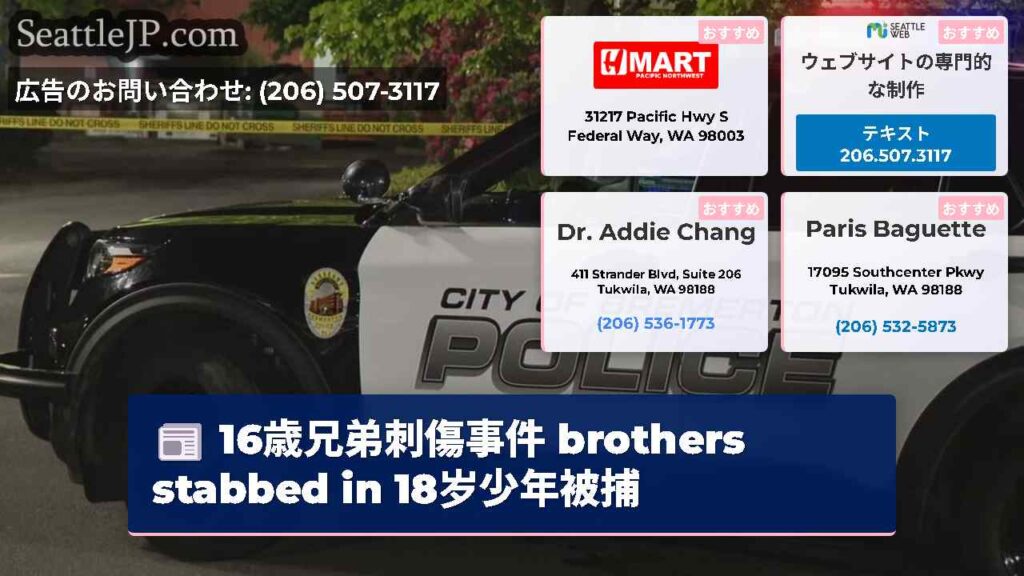 16歳兄弟刺傷事件 brothers stabbed in 18岁少年被捕