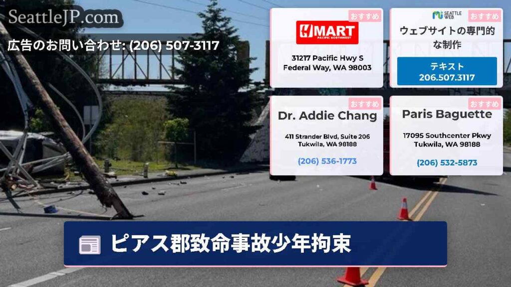 ピアス郡致命事故少年拘束