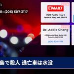 島で殺人 逃亡車は水没