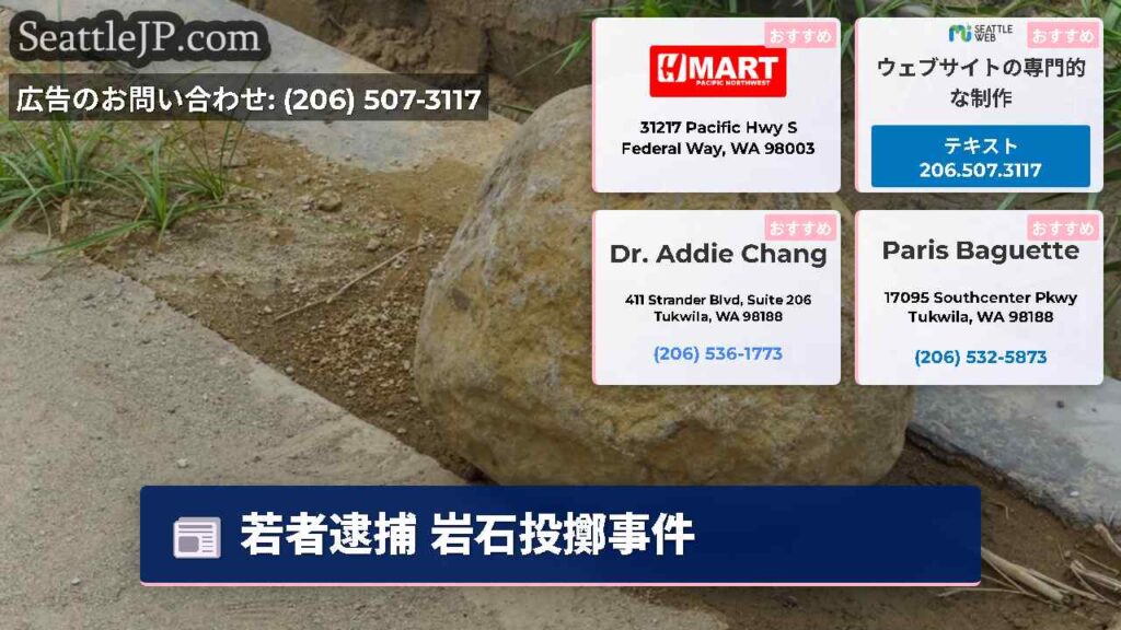 若者逮捕 岩石投擲事件