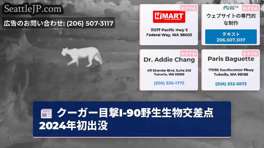 クーガー目撃I-90野生生物交差点2024年初出没