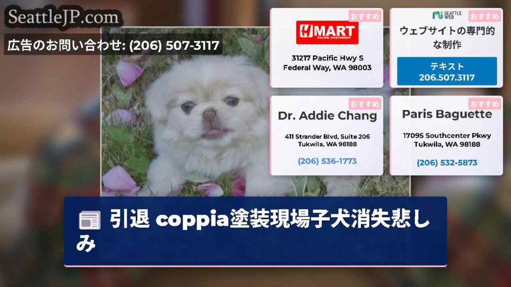 引退 coppia塗装現場子犬消失悲しみ