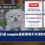 引退 coppia塗装現場子犬消失悲しみ