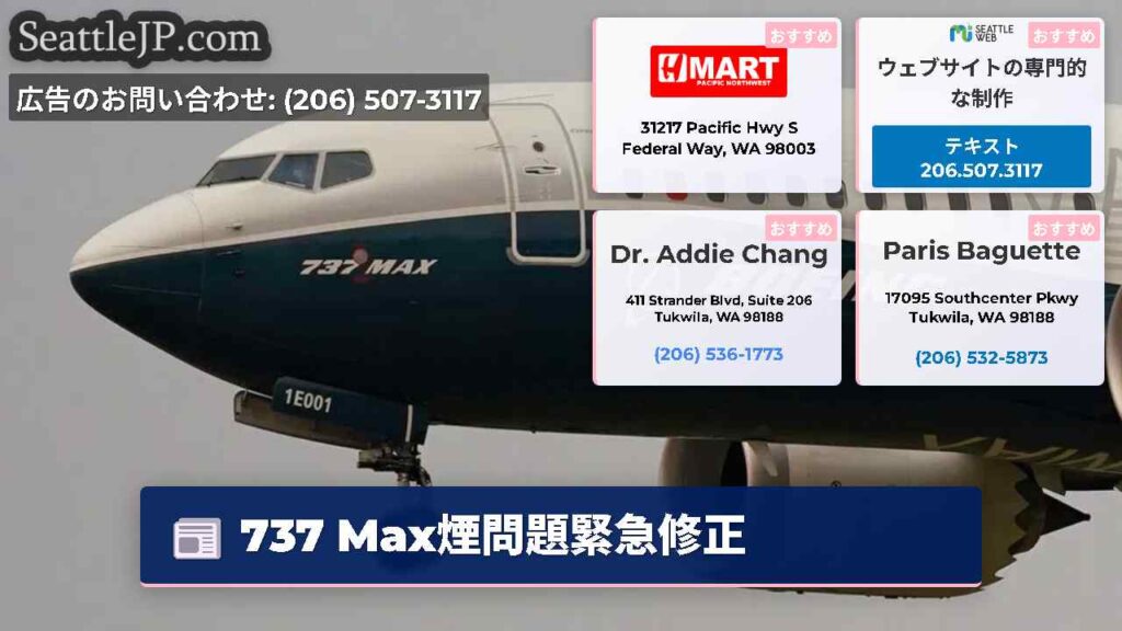 737 Max煙問題緊急修正