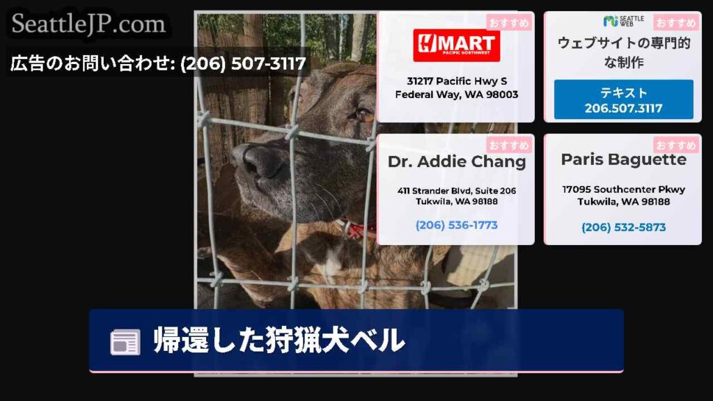 帰還した狩猟犬ベル