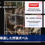 帰還した狩猟犬ベル