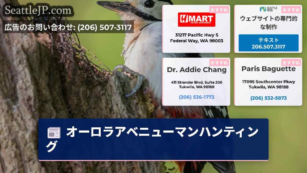 オーロラアベニューマンハンティング