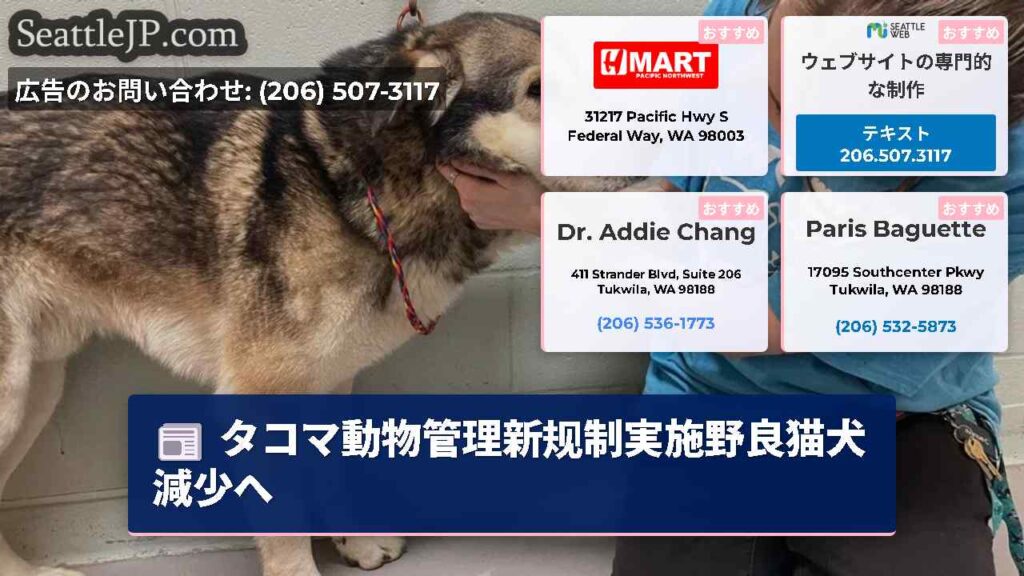 タコマ動物管理新规制実施野良猫犬減少へ