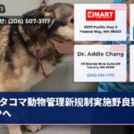 タコマ動物管理新规制実施野良猫犬減少へ