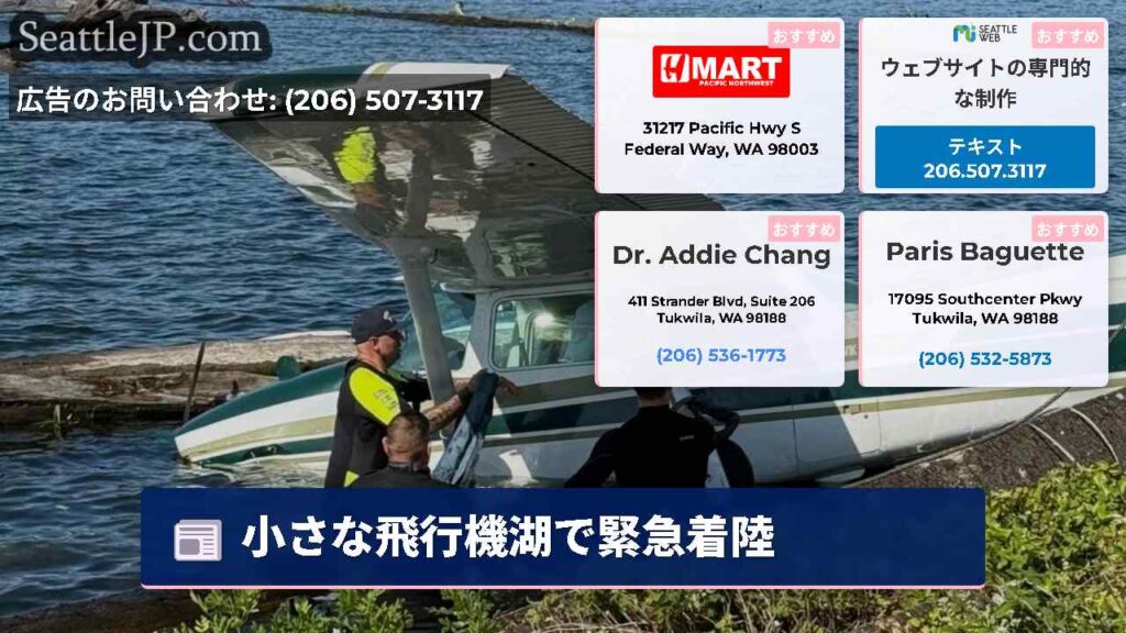 小さな飛行機湖で緊急着陸