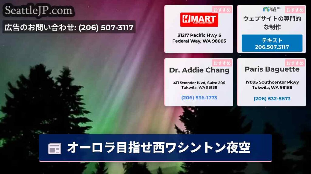オーロラ目指せ西ワシントン夜空