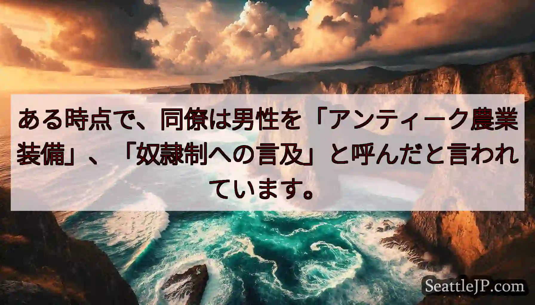 ある時点で、同僚は男性を「アンティーク農業装備」、「奴隷制への言及」と呼んだと言われています。