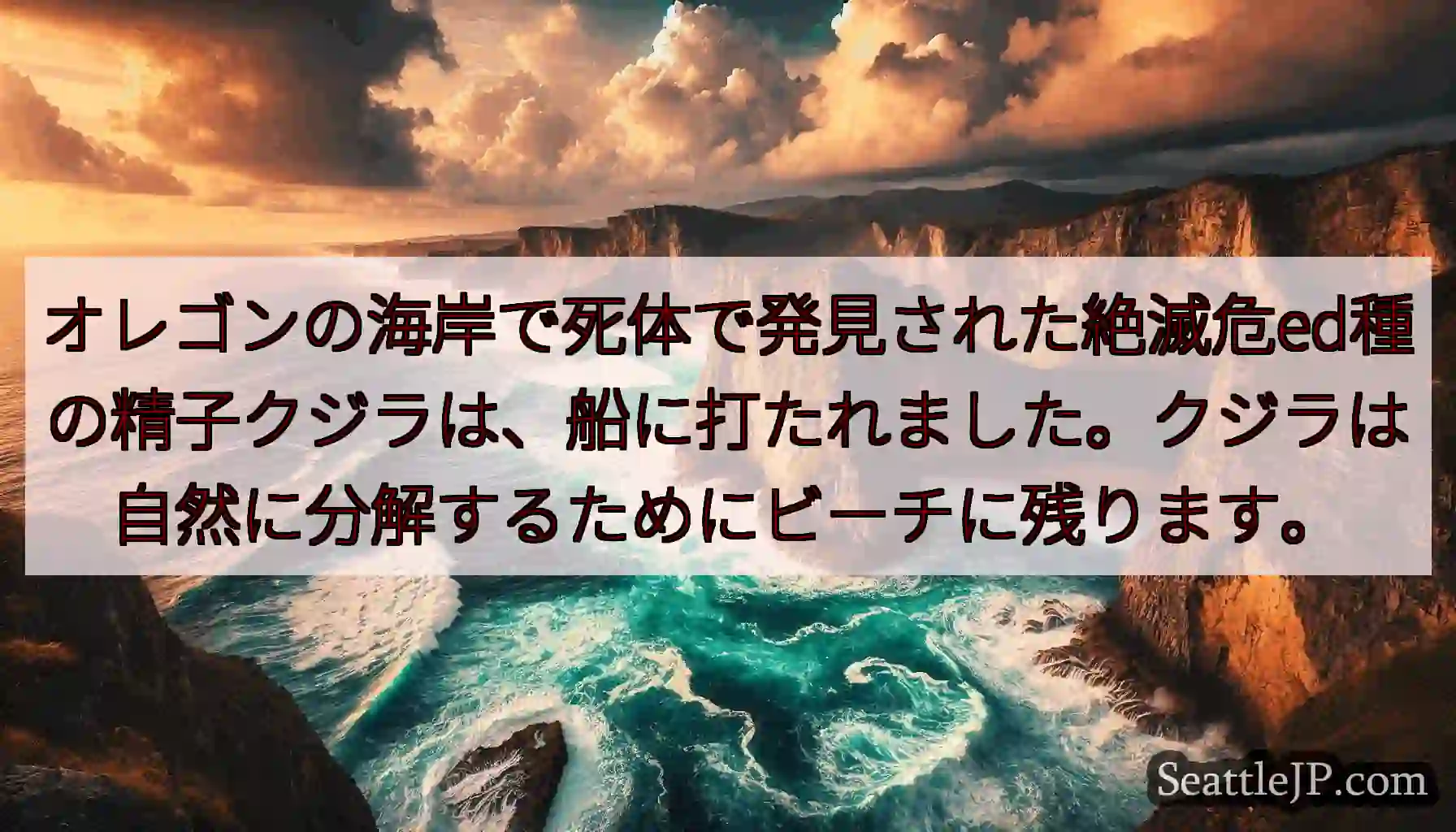 オレゴンの海岸で死体で発見された絶滅危ed種の精子クジラは、船に打たれました。クジラは自然に分解する