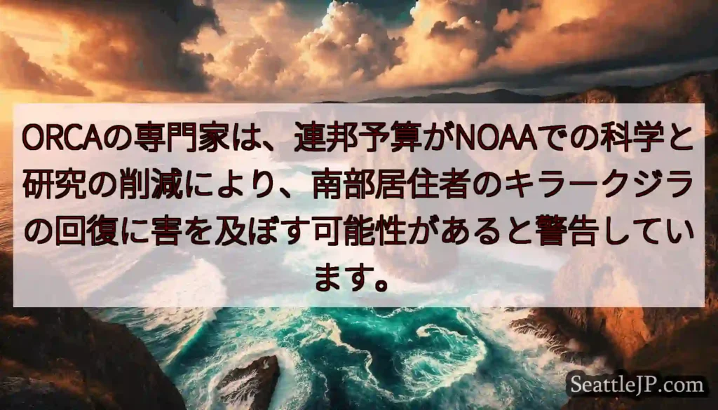 ORCAの専門家は、連邦予算がNOAAでの科学と研究の削減により、南部居住者のキラークジラの回復に害