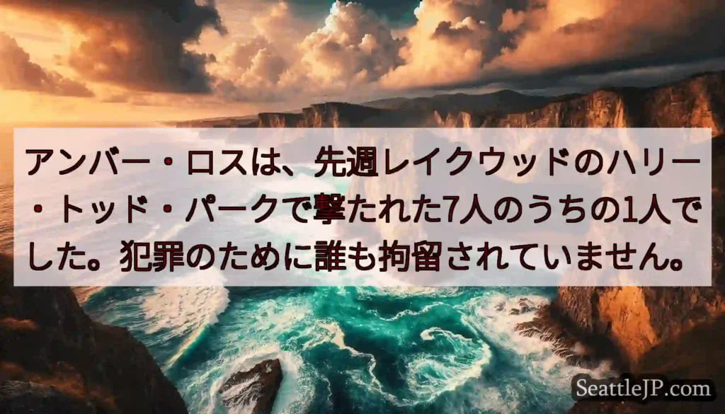 アンバー・ロスは、先週レイクウッドのハリー・トッド・パークで撃たれた7人のうちの1人でした。犯罪のた